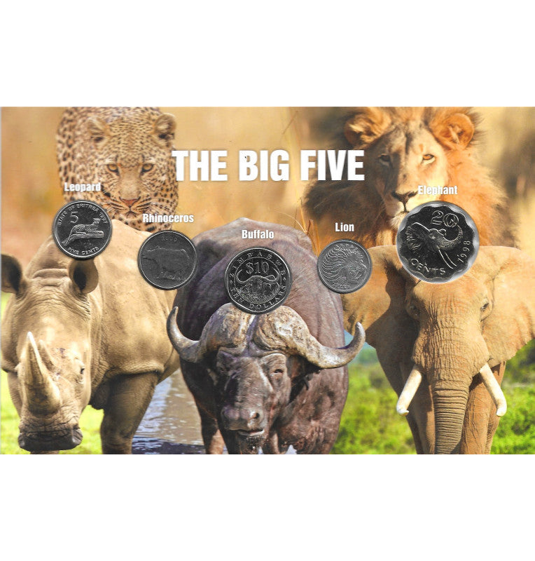 Blister of the Big 5 coins